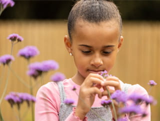 hero